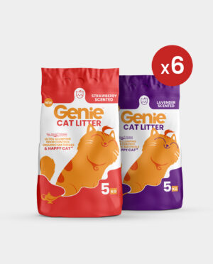 Genie Cat litter Bundle of 6